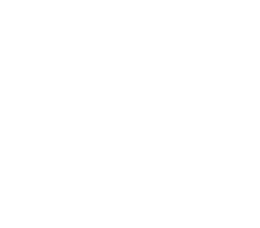 logo st jerome white icon
